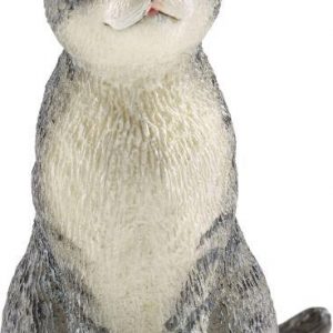 Katze, sitzend