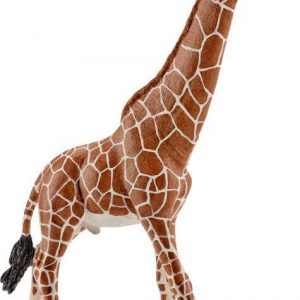 Giraffenbulle