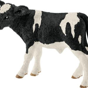 Kalb Schwarzbunt