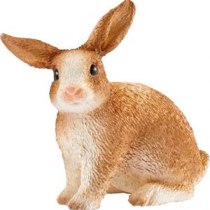 Kaninchen