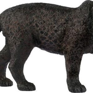 Schwarzer Panther