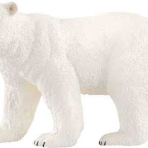 Eisbär