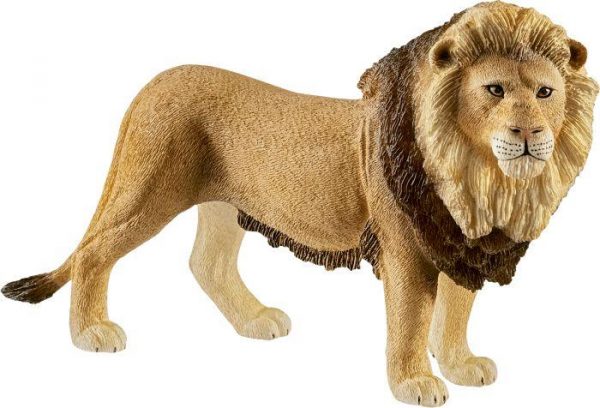 Löwe