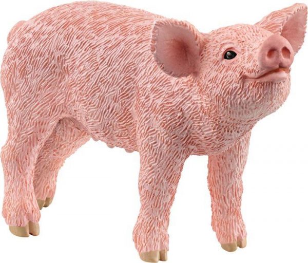 Ferkel