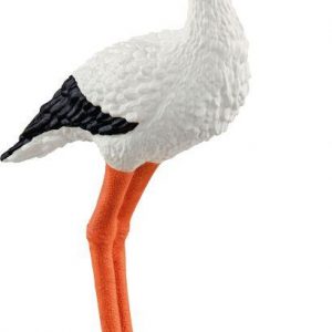 Storch