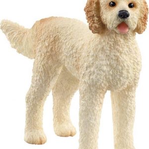 Goldendoodle