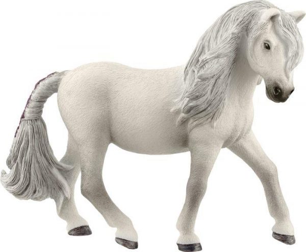 Islandpony Stute