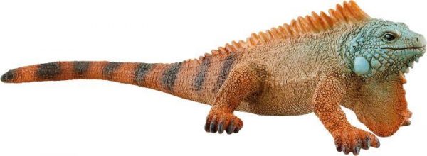 Leguan