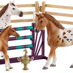 Horse Club Lisas Turnier-Training