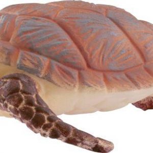 Echte Karettschildkröte