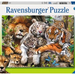 Pz. Schmusende Raubkatzen 200T